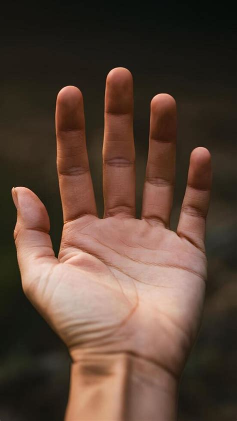 Thing Hand Stock Photos, Images and Backgrounds for Free Download