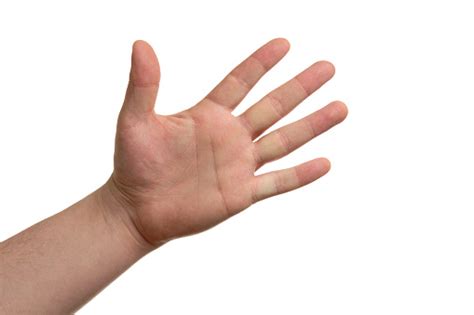 60,000+ Free Hand Waving & Hand Images - Pixabay