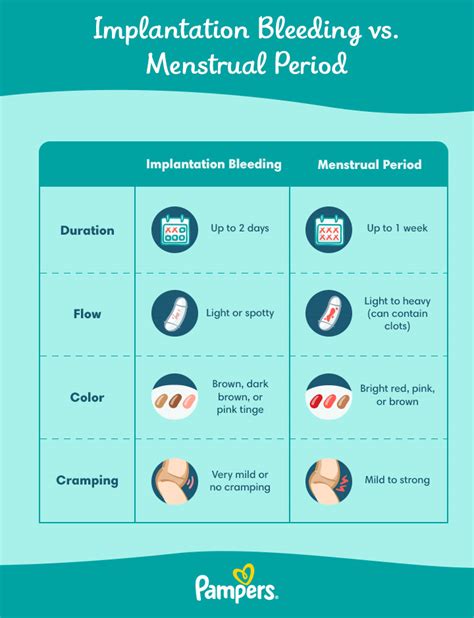 Implantation Bleeding Vs Menstrual