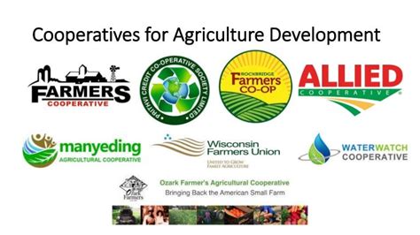Agriculture cooperatives