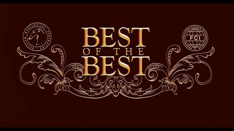 BEST of the BEST - YouTube