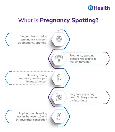 Spotting During Pregnancy