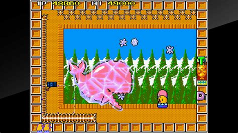 Arcade Archives THE NEWZEALAND STORY for Nintendo Switch - Nintendo ...