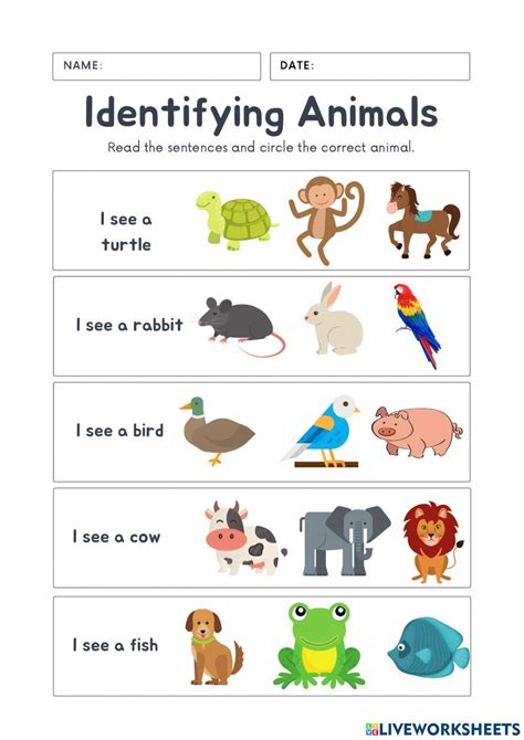Identifying Animals interactive worksheet | Live Worksheets