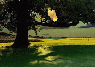 How do beginner guides effectively simplify complex game mechanics for new players?