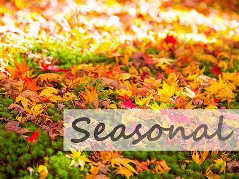 Product Categories - Hammonds The Drinks Specialist