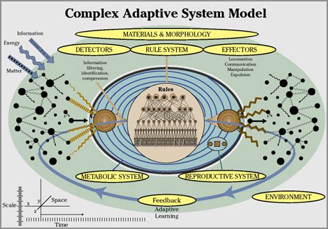 Complex Adaptive System Model