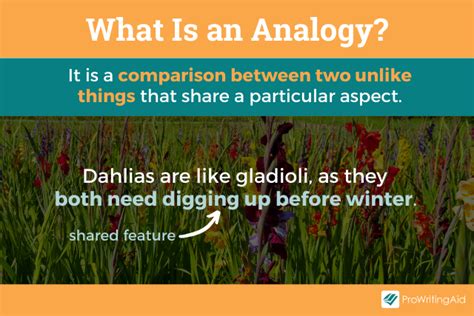 Analogy: Definition &amp; Meaning (with Examples) - The Grammar Guide