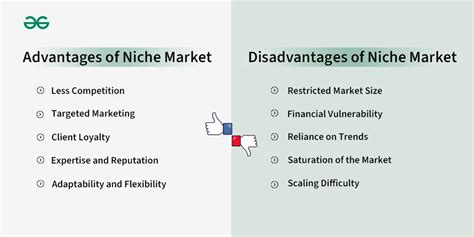 What is a Niche Market : Meaning, Advantages, Disadvantages and ...