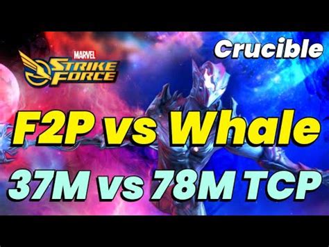HUGE FREE TO PLAY vs WHALE MATCH! THESE TEAMS WORK! PUNCH UPS! CRUCIBLE ...