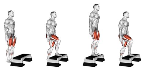 5 Best Knee Extension Exercises (with Pictures!) - Inspire US