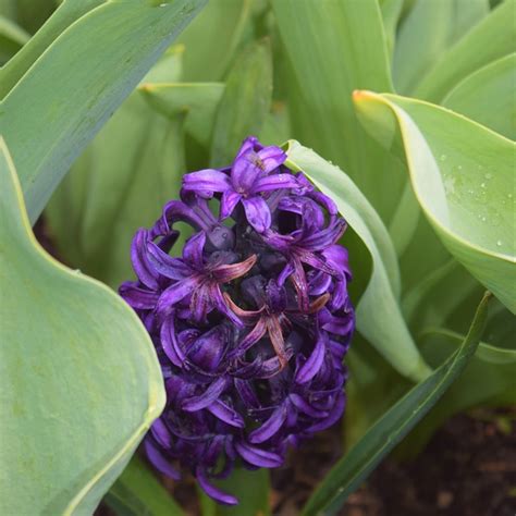 What actionable tips help discover quality indie hidden gems and avoid duds?