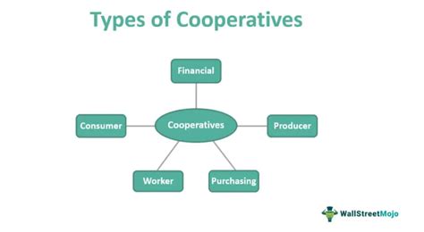 Co-operatives - Meaning, Principles, Types, Examples, Importance
