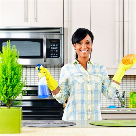 Quick Tips in Cleaning the Kitchen | Green Living Bees