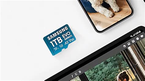 Samsung launches 1TB Evo Select and Pro Plus microSD cards in USA ...