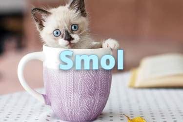 SMALL Synonyms: 295 Similar and Opposite Words | Merriam-Webster Thesaurus
