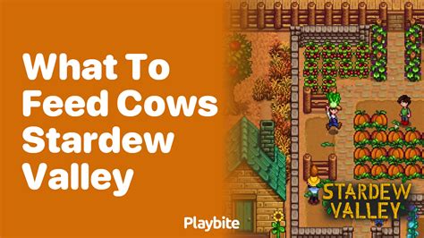How to Play Co-op in Stardew Valley - Playbite