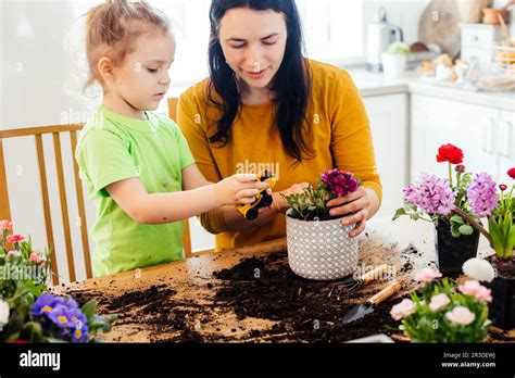 Adding some game elements into learning process Stock Photo - Alamy
