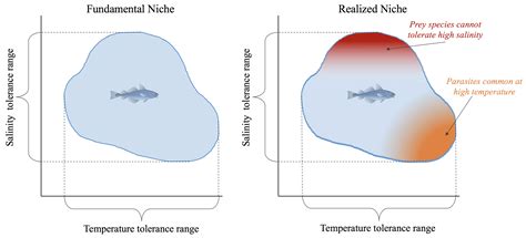 5.1: The Ecological Niche - Biology LibreTexts