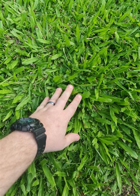 How to reliably vet hidden indie gems with few reviews?