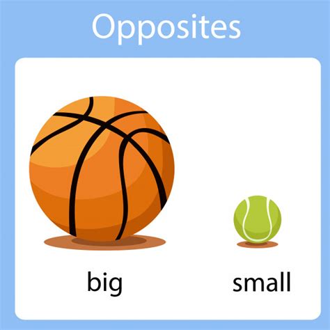 Big or small | Baamboozle - Baamboozle | The Most Fun Classroom Games!