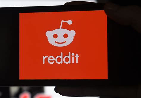 Reddit's Wildest 2021 Posts—From Being Inside a Whale to Surviving a ...