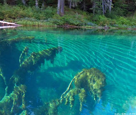 Hidden Treasures Clear Lake