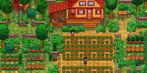 Stardew Valley Fan Shows Off Incredible Year 5 Farm