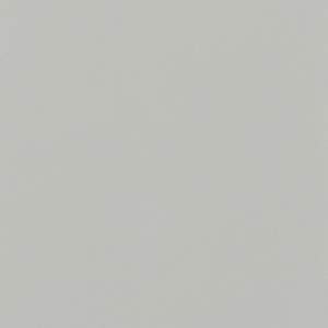 Professional Cordless 1