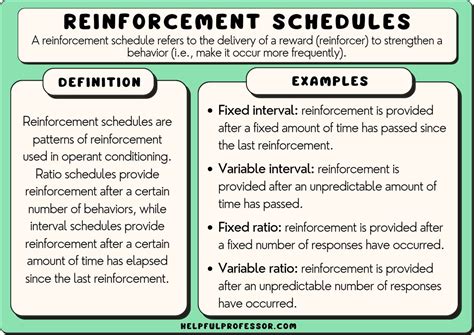 15 Reinforcement Schedule Examples (Of all Types) (2024)