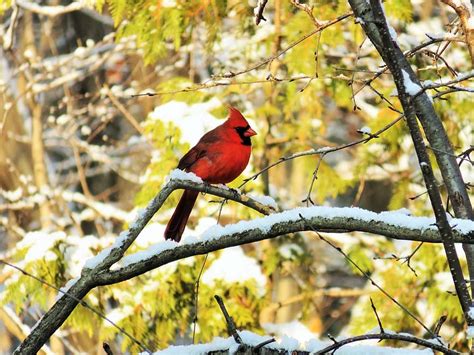 What red flags signal predatory F2P gacha design before investing time or money?