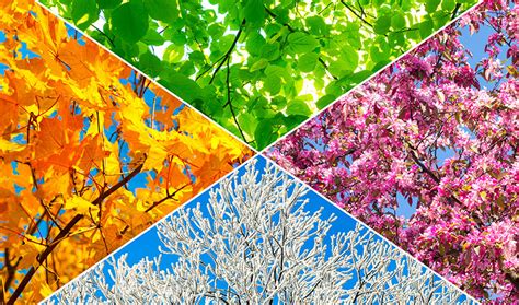 Seasonal Garden Decor, a Guide for Each Season