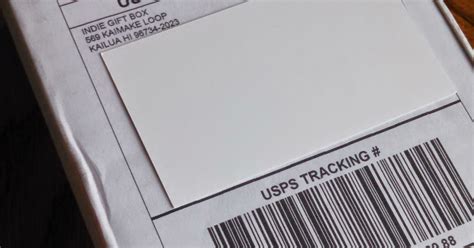 Subscription Prescription: Indie Gift Box review, August 2014