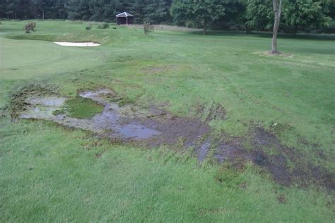 How to spot and avoid predatory F2P mobile game monetization?