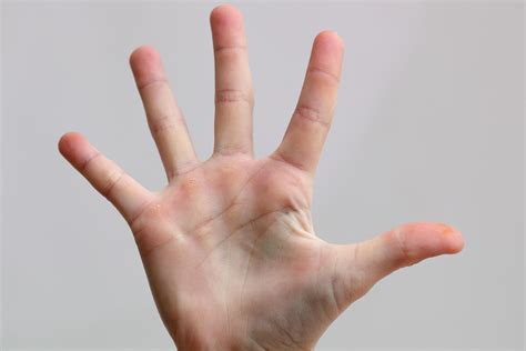 Hand Parts Name - Eremedium