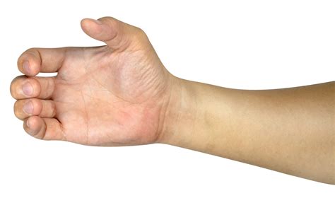 hand holding something isolated 22786598 PNG