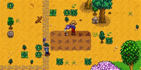 A Guide To Stardew Valley Farm Simulation RPG Video Game Co-Op Mode