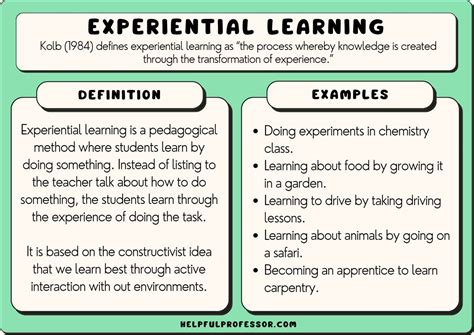 21 Experiential Learning Examples (2024)