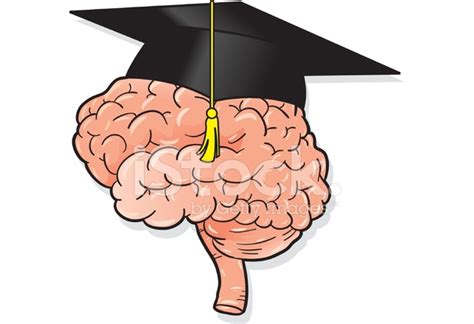 Smart Brain Stock Photo – Royalty-Free Images | FreeImages