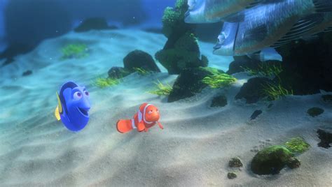 What Are The Bombs In Finding Nemo at Harvey Horton blog