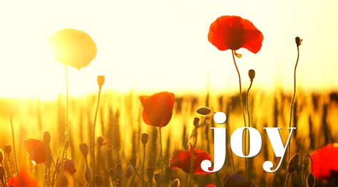 Joy