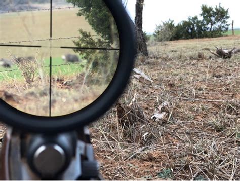 165 Hunting Tips: The Complete Guide to Hunting