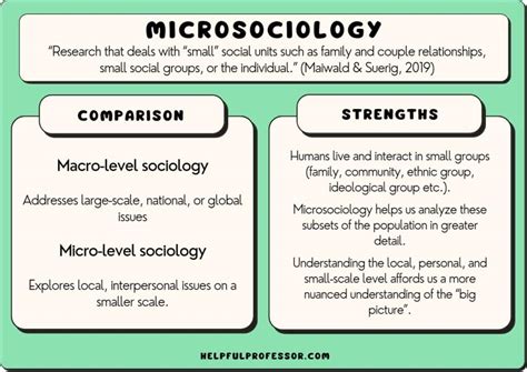 Microsociology: Definition, Examples &amp; Criticism (2025)