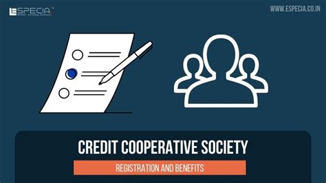 Which cooperative cozy games best suit families with diverse ages and skill sets?