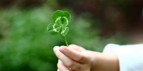 90 Luck Quotes And Captions Exploring The Magic Of Good Fortune ...