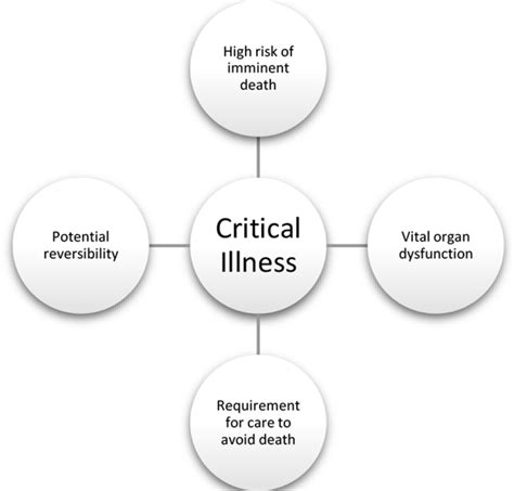 Towards definitions of critical illness and critical care using concept ...