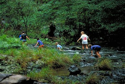 Images &gt; Activities