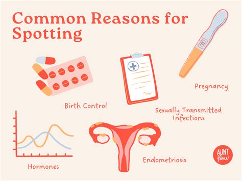 What's the Bloody Difference: True Period vs. Spotting | Aunt Flow