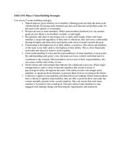 D025 CPE Phase 2 Team Building Strategies.docx - D025 CPE Phase 2 Team ...