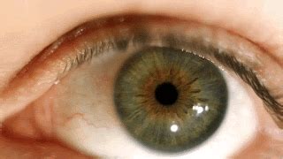 How do beginner game guides make complex mechanics actionable for new players?